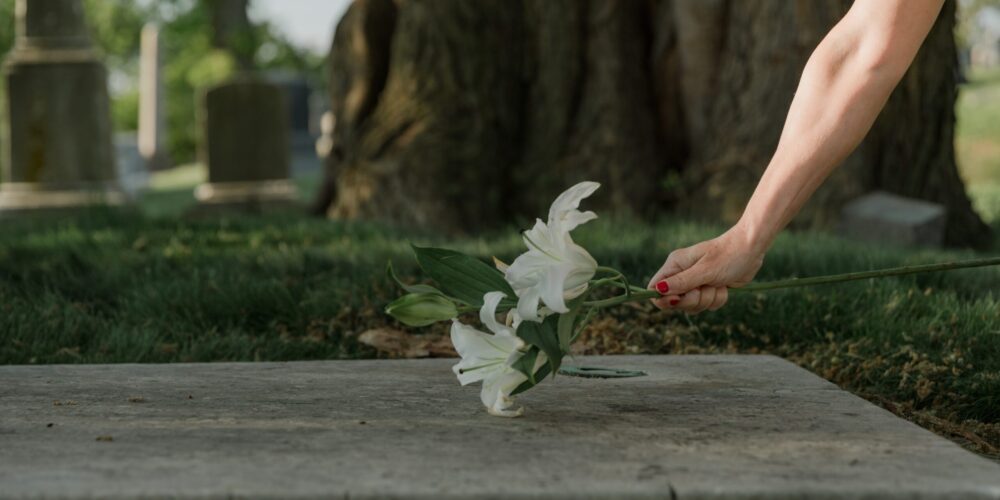 pexels-rdne-stock-project-8865115